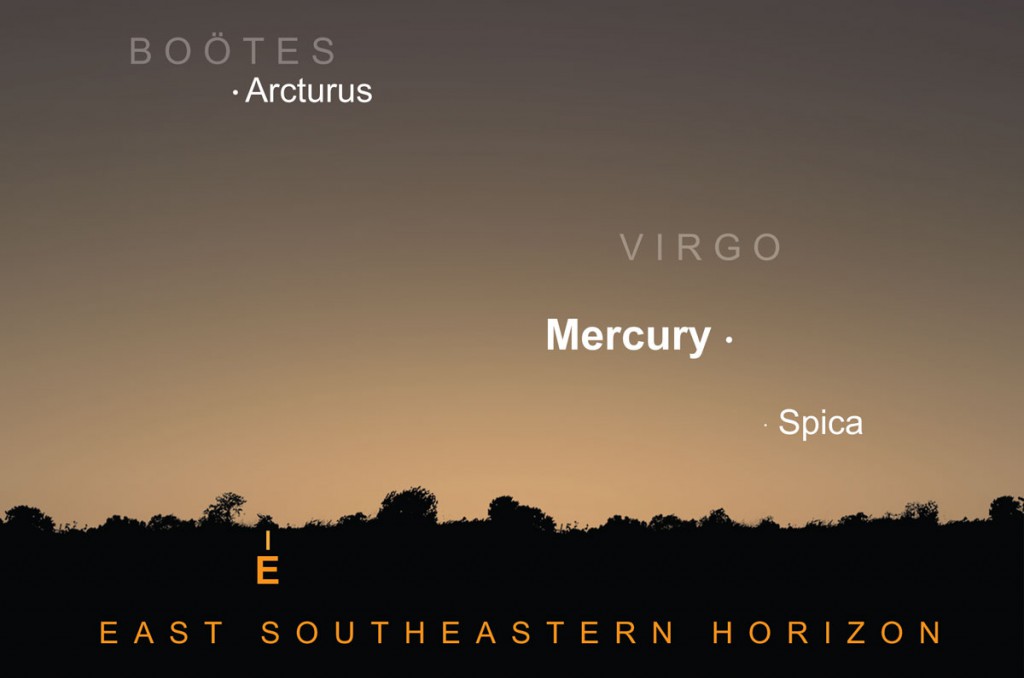 Mercury can be seen five degrees above first-magnitude Spica, luminary of the constellation Virgo. Mercury is 1.5 times brighter and given a clear east-south-east horizon the two should be visible through binoculars. AN graphic by Greg Smye-Rumsby.