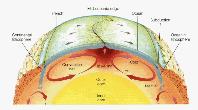 This plate tectonics diagram shows how mantle circulation delivers new rock to the crust via mid-ocean ridges. New research suggests that mantle circulation also delivers water to the oceans. Image credit: Byrd Polar Research Center, Ohio State University