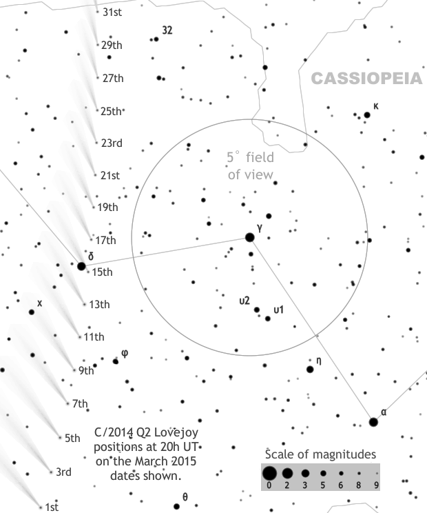 This finder chart shows C/2014 Q2's path through the constellation of Cassiopeia during March 2015. Now that Comet Lovejoy is receding from the Sun and the Earth, its motion against the background stars slows to an average of &frac13;° per day this month. Note the comet's close passage to magnitude-2.7 delta (δ) Cassiopeiae, also known as 'Ruchbah' on the 15th. Click the graphic for a full size version suitable for printing. AN graphic by Ade Ashford