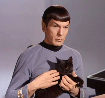 Live long and pros-purr. Image credit: CBS Television Studios