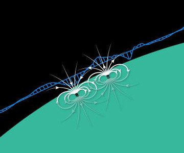 In this cartoon of field lines and observed signal, the white lines show schematic magnetic field lines above the surface of Mercury from magnetised crustal rocks. The MESSENGER spacecraft passed over a region of crustal magnetisation and the Magnetometer instrument measured small variations in the magnetic field (illustrated by the blue wiggly line). Because the signals are small they were only observed when MESSENGER was very close to the planet. Image credit: NASA/Johns Hopkins University Applied Physics Laboratory/Carnegie Institution of Washington.