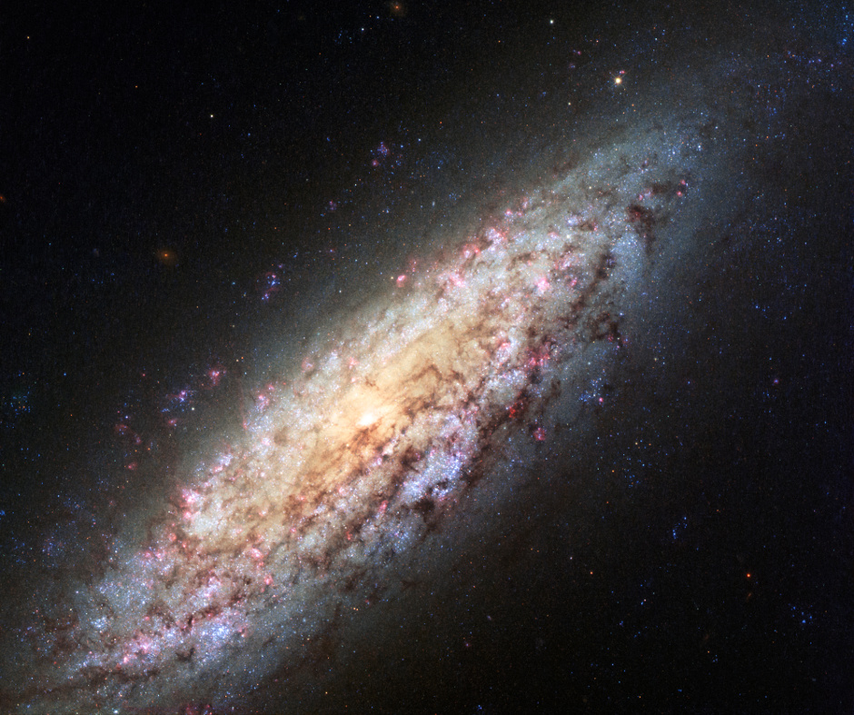 This NASA/ESA Hubble Space Telescope image shows NGC 6503. The galaxy, which lies about 18 million light-years away, is at the edge of a strangely empty patch of space called the Local Void. This new image shows a very rich set of colours, adding to the detail seen in previous images. Image credit: NASA, ESA.