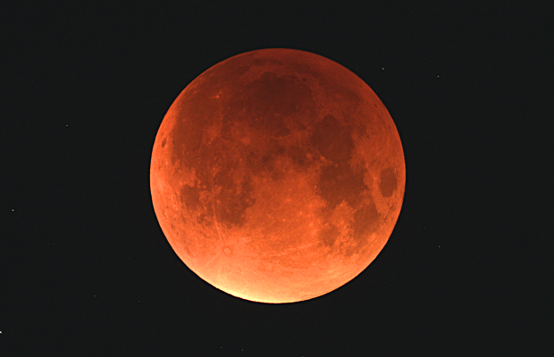 Astronomy Now's web editor Ade Ashford captured this view of the supermoon in mid-eclipse from mid-Norfolk, UK at 3:47am BST on Monday, 28 September. Celestron 80ED refractor with a Canon 1100D, 6-second exposure, ISO 800.