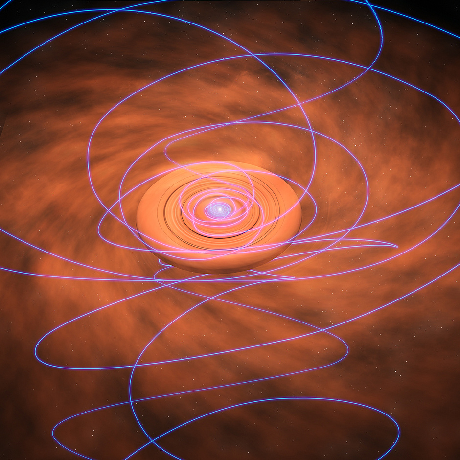 Magnetic field lines (purple) are twisted as they are dragged inward toward a swirling, dusty disc surrounding a young star in this artist's conception. Image credit: Bill Saxton, NRAO/AUI/NSF.