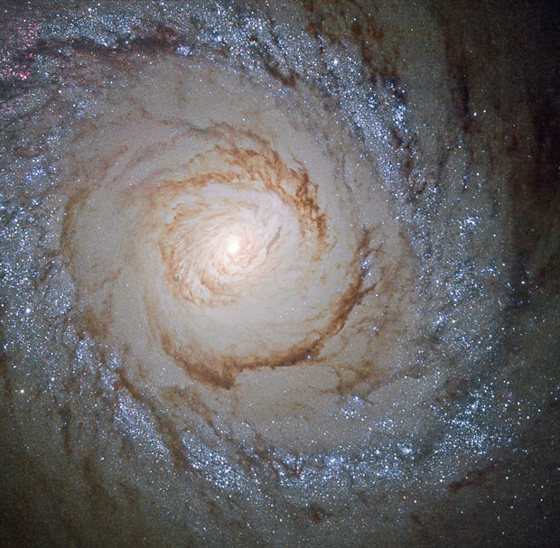 The spiral galaxy M94, imaged by the Hubble Space Telescope in 2015, is still forming stars, but in many other galaxies star formation has stopped. Image: ESA/Hubble and NASA.