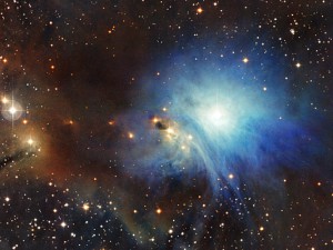 A newly formed star lights up the surrounding cosmic clouds in this image from ESO’s La Silla Observatory in Chile. IC&nbsp;2631 is the brightest nebula in the Chamaeleon Complex, a large region of gas and dust clouds that harbours numerous newborn and still-forming stars. The complex lies about 500 light-years away in the southern constellation of Chamaeleon. Image credit: ESO.