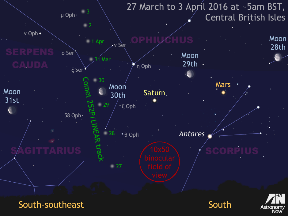 This graphic shows the daily motion of comet 252P/LINEAR over the coming week when it is expected to be at its brightest and best placed for observation from the British Isles around 5am BST. The comet’s diffuse round coma is about 40 arcminutes in diameter and currently has an integrated magnitude of around +5.5, so it would be a naked-eye object from dark sky sites if it did not have to contend with the glare of a nearby waning gibbous Moon. For scale, the view is about 40 degrees wide, or twice the span of an outstretched hand at arm’s length. The Moon is enlarged for clarity. Click the graphic for a greyscale version suitable for printing. AN graphic by Ade Ashford.