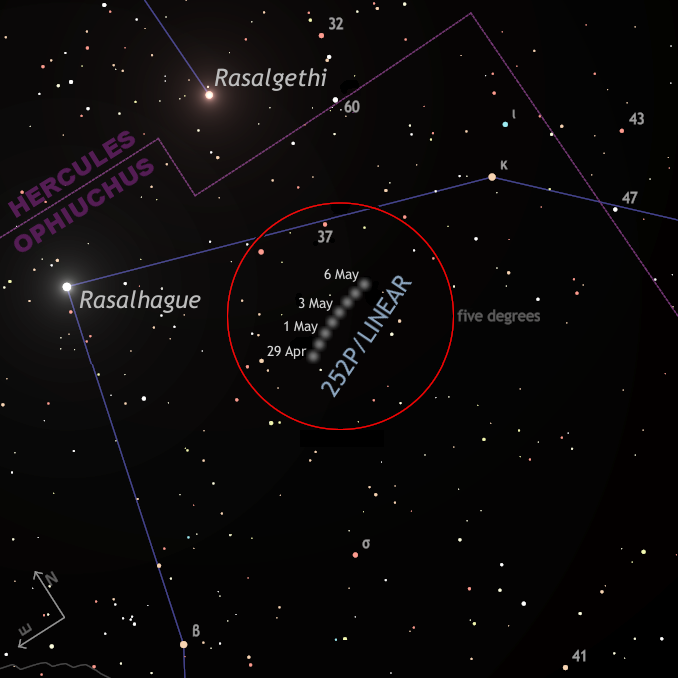 This detailed finder chart shows the nightly position of comet 252P/LINEAR at 12am BST over the coming week. It is a 4x enlargement of the wide-field view above and shows stars down to approximately magnitude +9. Rasalhague (α Ophiuchi) and Rasalgethi (α Herculis) lie 5¼ degrees apart. The red circle is five degrees in diameter, or the field of view of a typical 10x50 binocular. Click the graphic for a greyscale version of this finder chart suitable for printing and use outside. AN graphic by Ade Ashford.