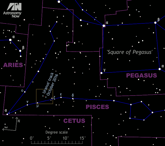 This naked-eye finder chart for planet Uranus depicts the view to the south, half way from horizon to overhead, at midnight in mid-October 2016 as seen from the centre of the British Isles. It also shows the southern sky at 10pm GMT (after the clocks have gone back) by month end. For scale, the diagonals of the Square of Pegasus span 20 degrees, or the width of an outstretched hand held at arm’s length. The brown rectangle highlighting the position of Uranus (seen in greater detail below) is five degrees wide, or the field of view of a typical 10×50 binocular. Stars down to sixth magnitude are shown, slightly fainter than magnitude +5.7 Uranus. Click the graphic for a greyscale version suitable for printing and taking outside. AN graphic by Ade Ashford.