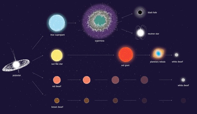 dwarf white massive star