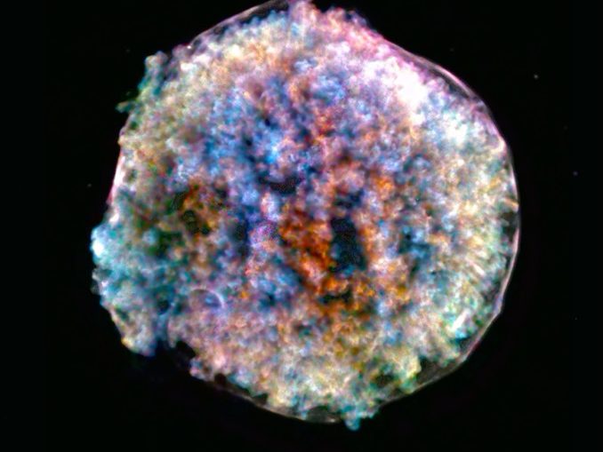 Debris in Kepler supernova remnant clocked at 23 million mph ...