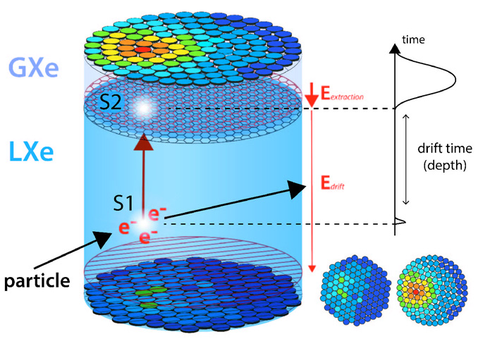 dark matter detection