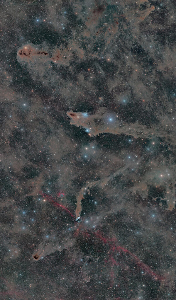 Celestron RASA 8 astrograph: fast imaging with the RASA 8 – Astronomy Now