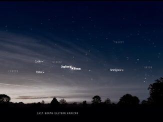 Graphic showing the close conjunction of Jupiter and Venus with other stars and contellations marked on a dark sky, above a horizon with trees in silhouette.